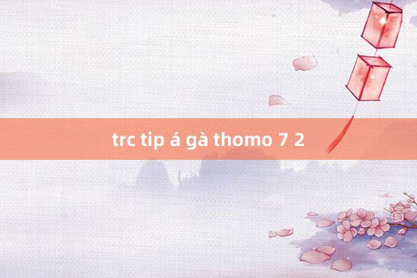 trc tip á gà thomo 7 2