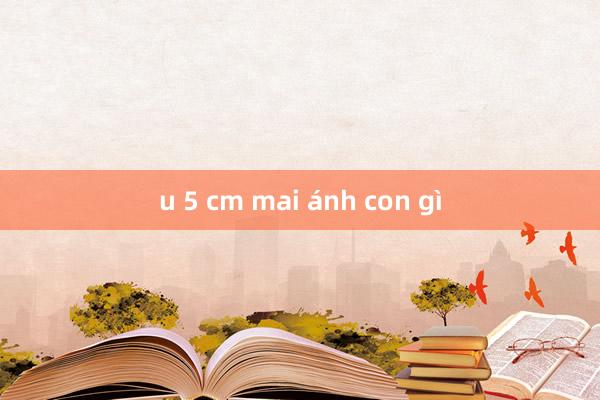 u 5 cm mai ánh con gì