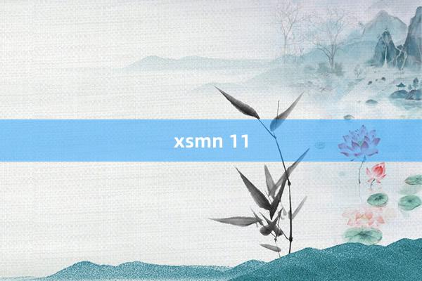 xsmn 11