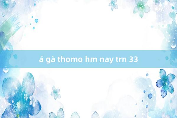 á gà thomo hm nay trn 33