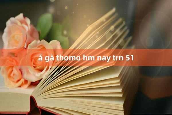 á gà thomo hm nay trn 51