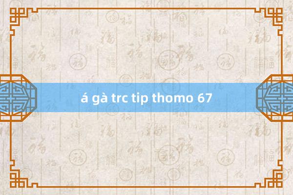 á gà trc tip thomo 67