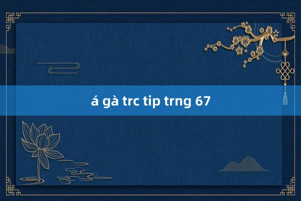 á gà trc tip trng 67