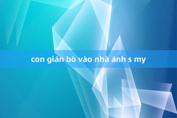 con gián bò vào nhà ánh s my