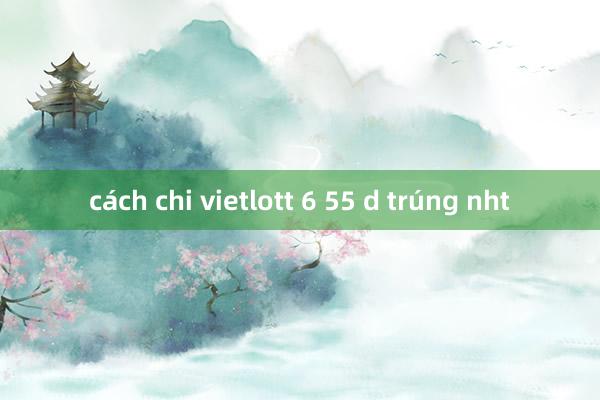 cách chi vietlott 6 55 d trúng nht