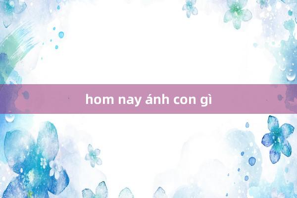 hom nay ánh con gì