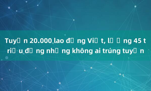 Tuyển 20.000 lao động Việt， lương 45 triệu đồng nhưng không ai trúng tuyển